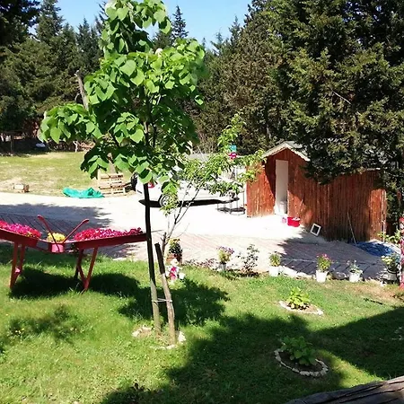 Bellavista 3* Ağva